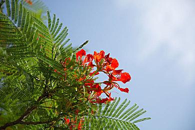 《有氧拳击2拳力舞动》国行版预售开启 定价269元